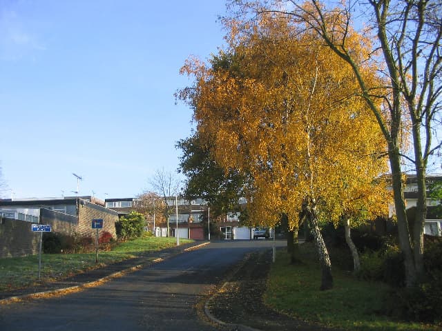 The Kingswood estate in Vange, Basildon